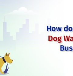 On-Demand Dog Walking App Help in Business Growth