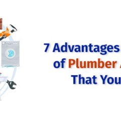 Advantages and Disadvantages of Plumber App Development