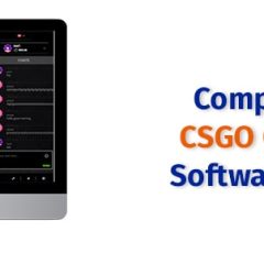 Guide For CSGO Crash Gambling Software Development